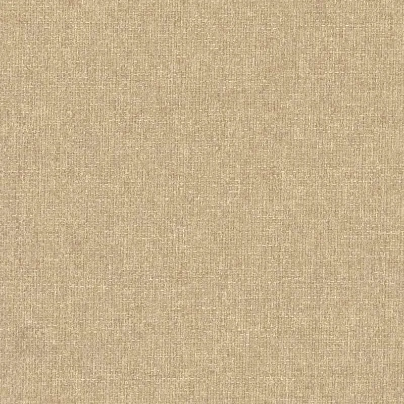 550004