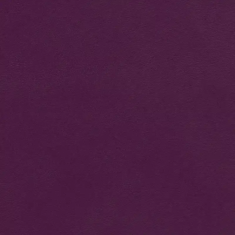 520025