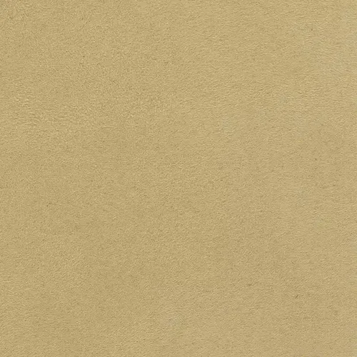 520005