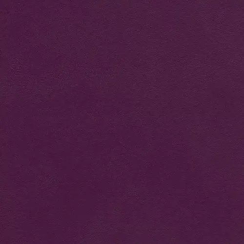 520025