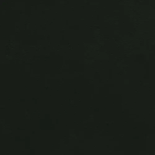 520039